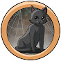 Spider cat Hs13h YT