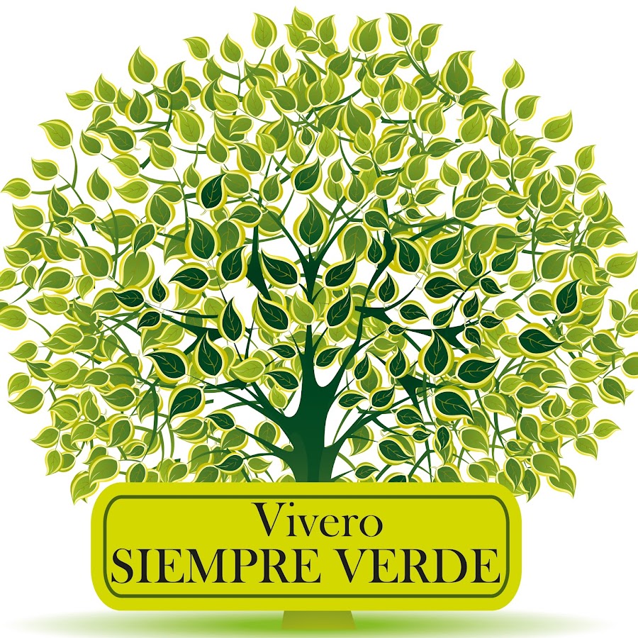 VIVERO SIEMPRE VERDE @ViveroSiempreVerde