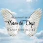 Documentário Mães de Anjo