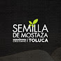 Semilla de Mostaza Toluca