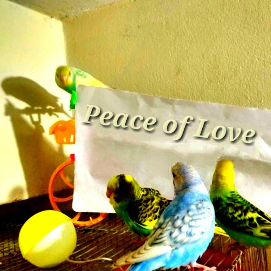 Peace of Love