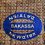 Bakassa Nsialieu-Nkwaten