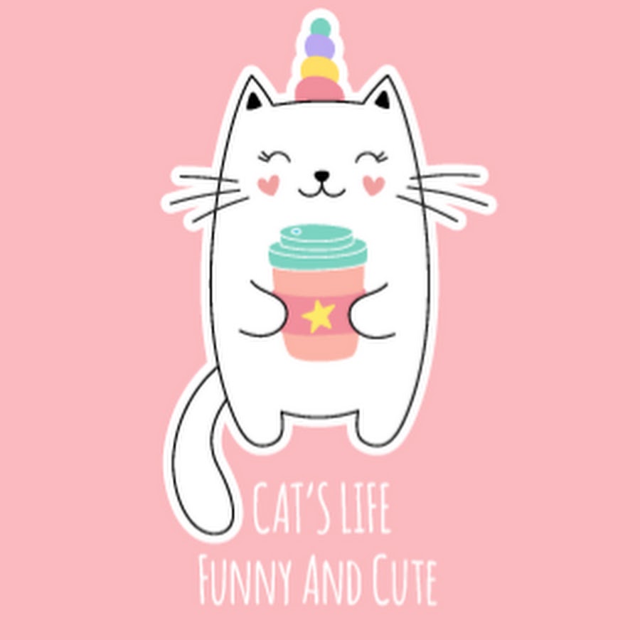 Funny And Cute Cats Life