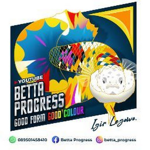 bettaprogress