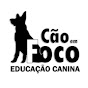 Cão em Foco Educação Canina