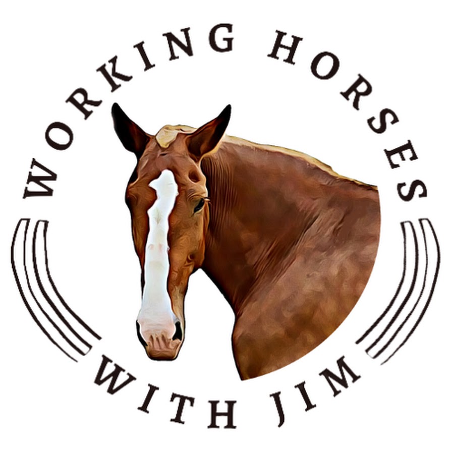 Ready go to ... https://www.youtube.com/workinghorseswithjim [ Working Horses With Jim]