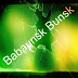 logo Babaunsk Bunsk