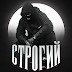 logo СТРОГИЙ