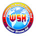 logo Werner Stream Hd