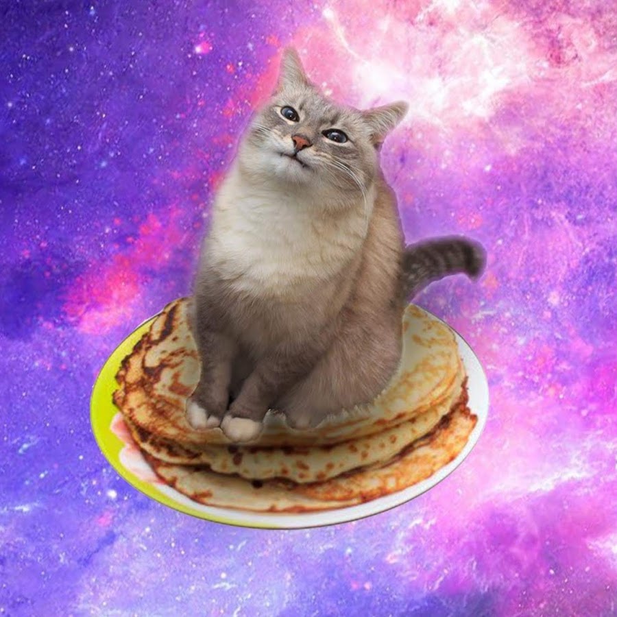 Кот с блинами мем