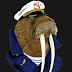 logo Captain Walrus