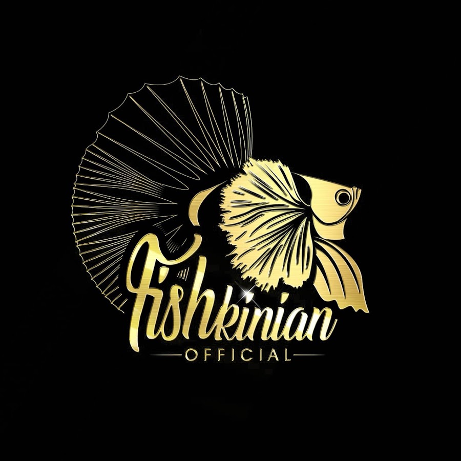 Fishkinian Official @FishkinianOfficial