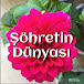 Şöhretin Dünyası