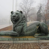 Славянский экспресс