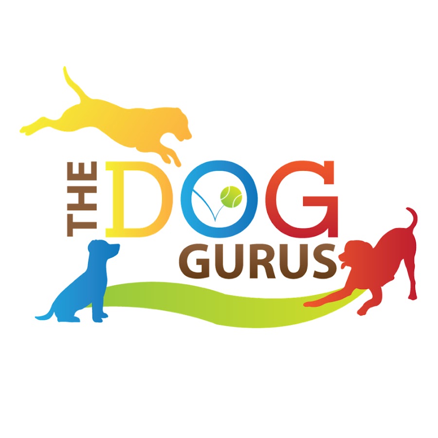 The Dog Gurus