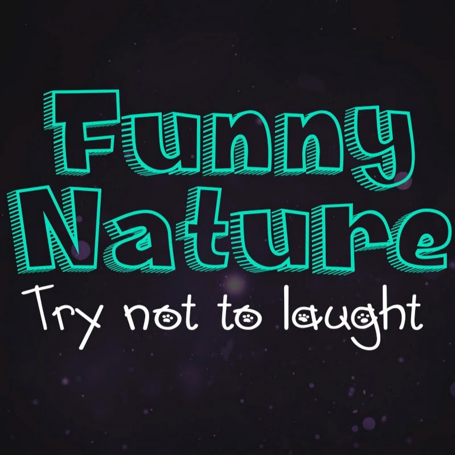 Funny Nature