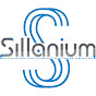 Sillanium. Практика обліку в BAS