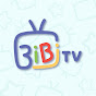 BIBI TV