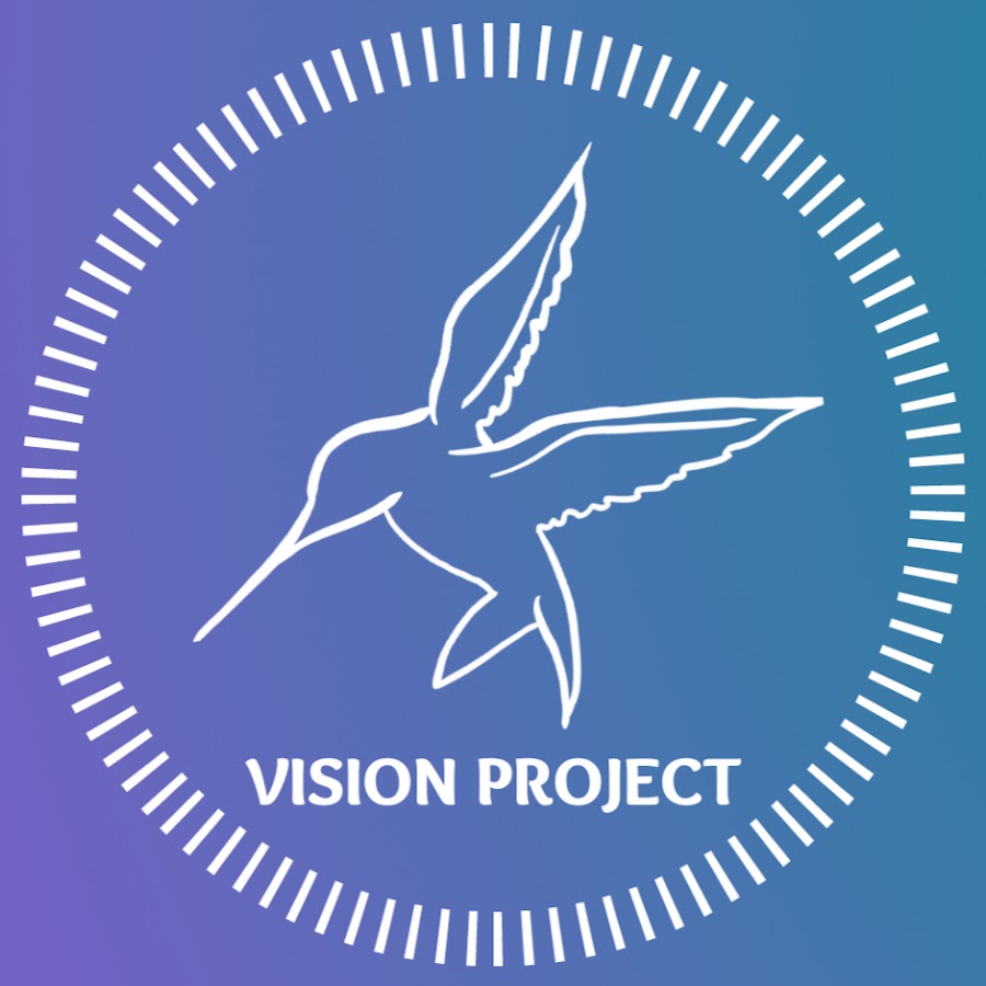 The Vision Project