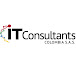 IT Consultants Colombia