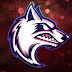 logo Rizeh