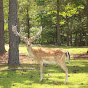 Buckhorn Creek Ranch