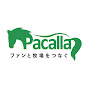 Pacalla 公式チャンネル