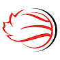 Wheelchair Basketball Canada