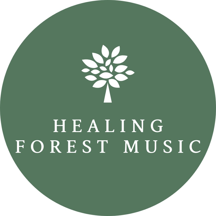 Healing Forest music - YouTube Healing Forest music