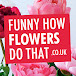 Funnyhowflowersdothat.co.uk