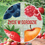 Życie w Ogrodzie