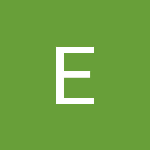 influencer profile picture