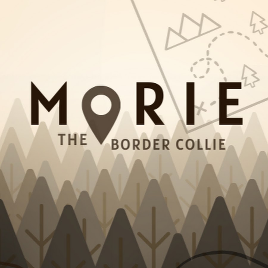 Morie the Border Collie