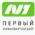 logo Телеканал N1