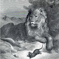 Artist Thumbnail
