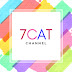 logo 7CAT