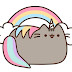 logo Rainbow Cats