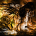 logo Fallen Angel