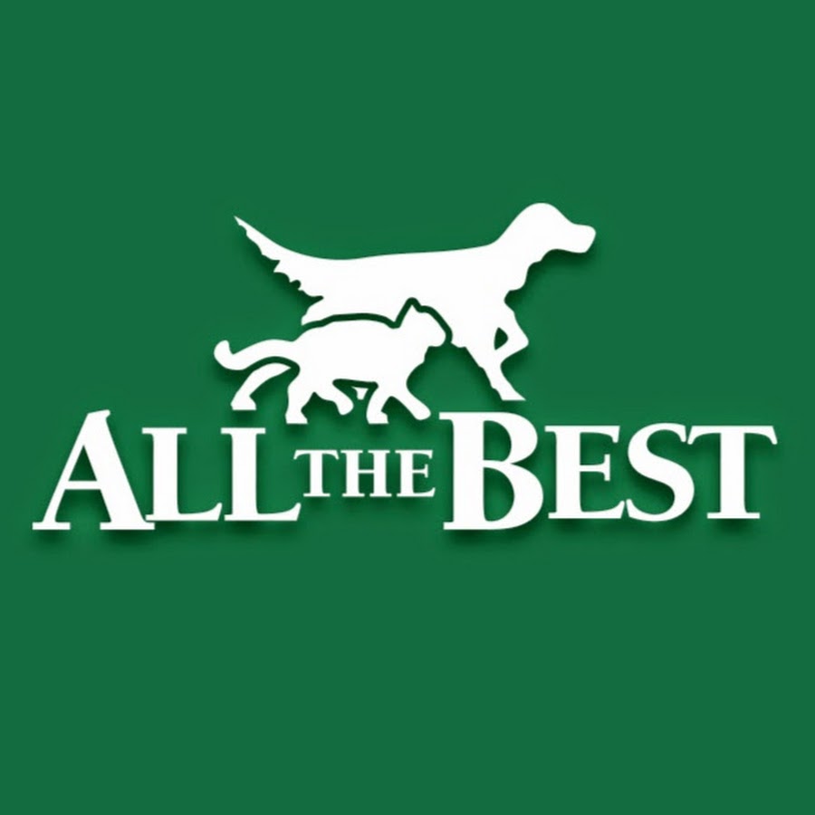 All The Best Pet Care YouTube