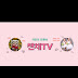 챈채TV