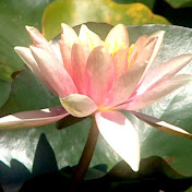 The Relaxation Channel