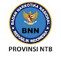 infobnn_ prov_ntb