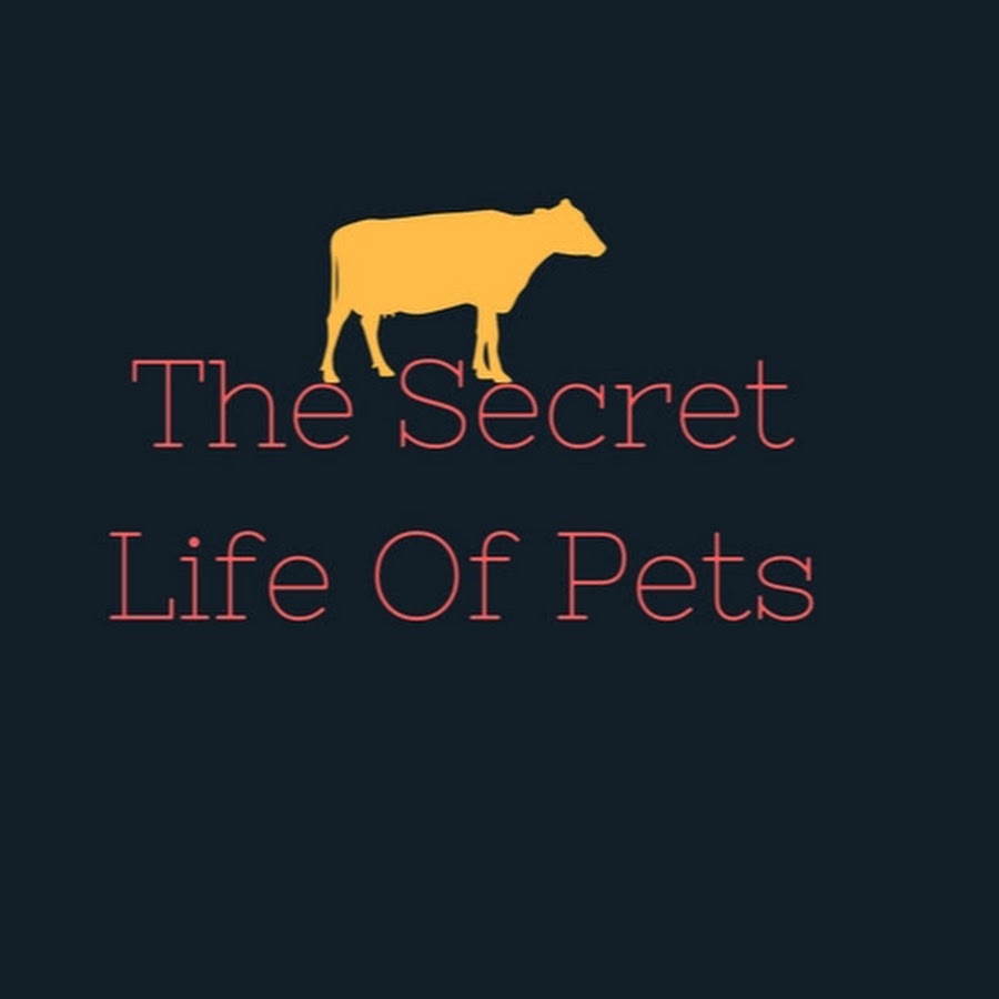 The Secret Life Of Pets