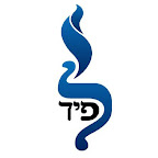 Lapid Judaism