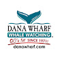 Dana Point Whale Watching