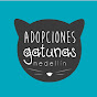 Adopciones Gatunas Medellín