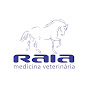 RAIA MV - Coisas de Cavalos