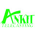 ANKIT TELECASTING