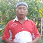 Sutrisno Saman