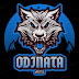 Odinata